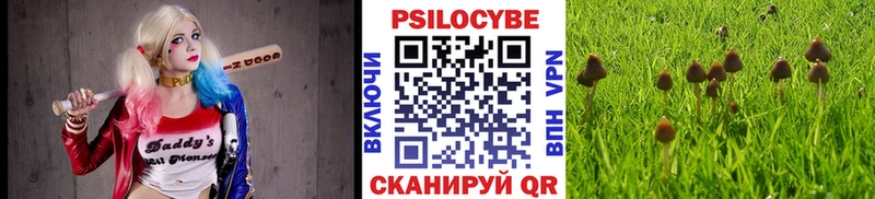 hydra   Кодинск  Галлюциногенные грибы MAGIC MUSHROOMS 