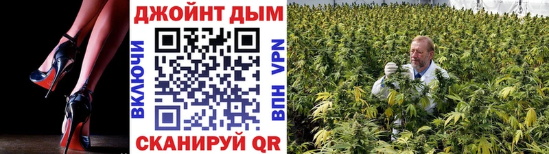 Канабис сатива  OMG ССЫЛКА  Кодинск 